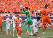 关于球员伤病复出，重新投入比赛，为球队贡献力量的信息