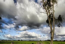 波士顿凯尔特人士气爆棚，大奖赛季后赛遇上广厦男篮，目标明确直指晋级的简单介绍